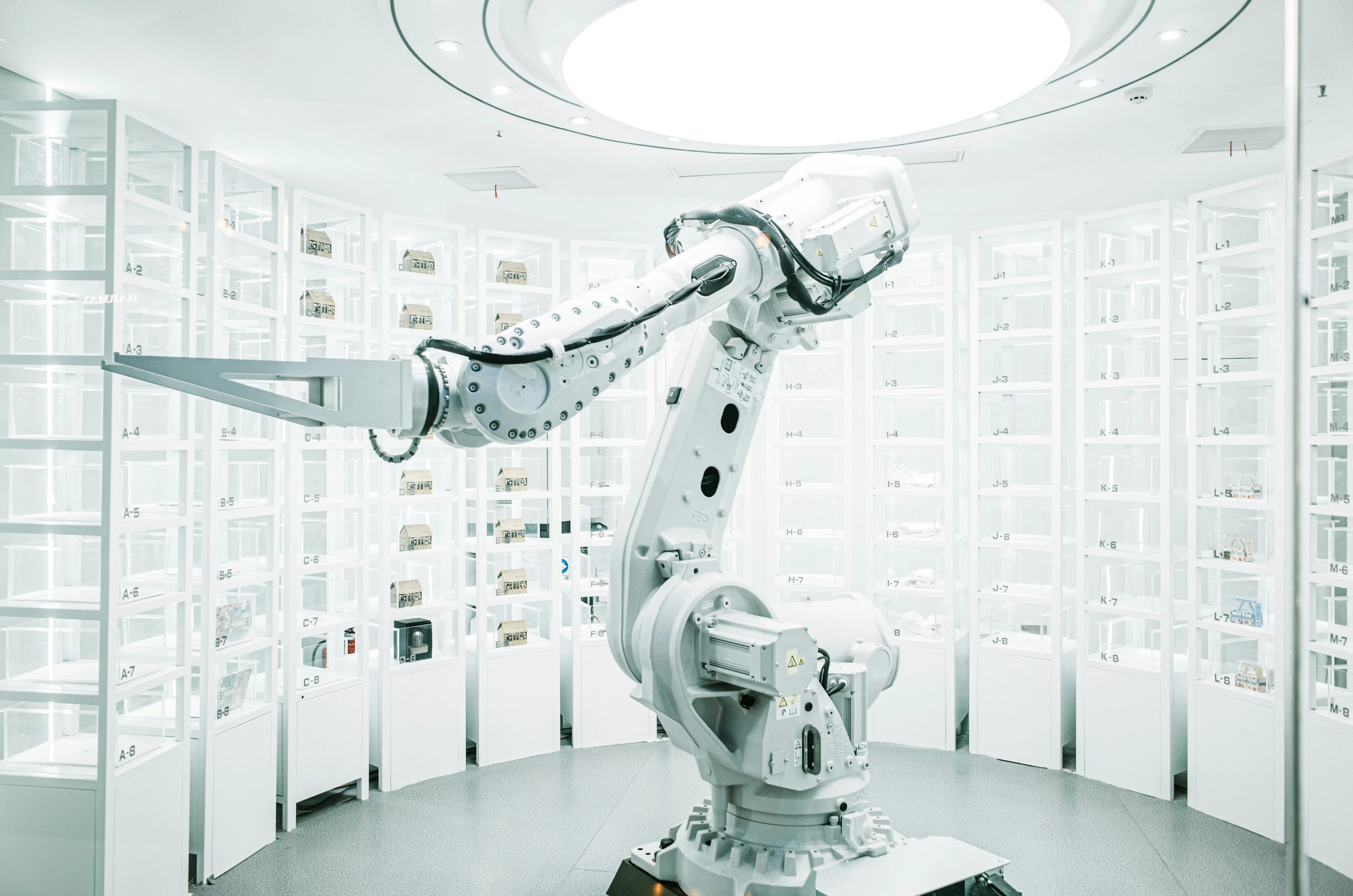 Agent AI sorting shelves